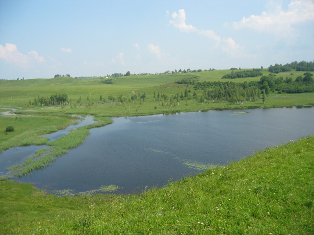 Izborsk. Game reserve. Lake, here live swans