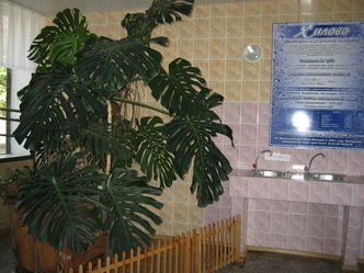Курорт Хилово в Псковской области