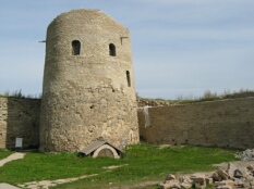 Fortress with towers